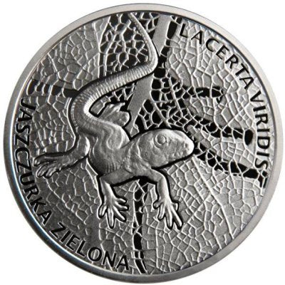 Kolekcja Młode Zwierzęta - Jaszczurka zielona (Lacerta viridis), 2009
