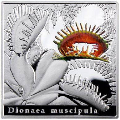 Kolekcja Osobliwości natury - 4 srebrne monety + WYSYŁKA GRATIS