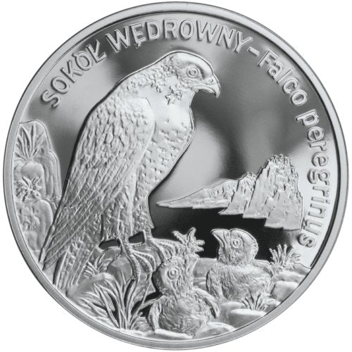 20 zł, Zwierzęta świata - Sokół wędrowny (łac. Falco peregrinus), 2008