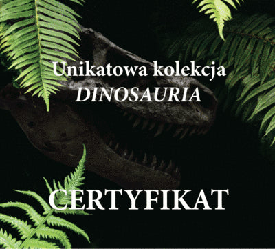 Kolekcja DINOSAURIA - 8 numizmatów + ETUI GRATIS