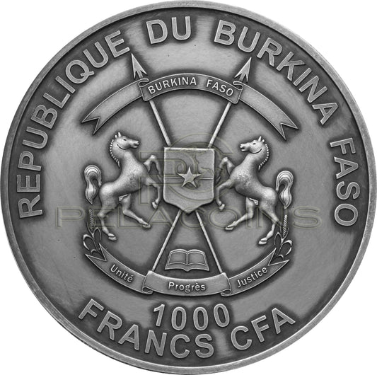 Burkina Faso 2016 1000 Francs Woolly Rhinoceros Mother Real Eye 1oz