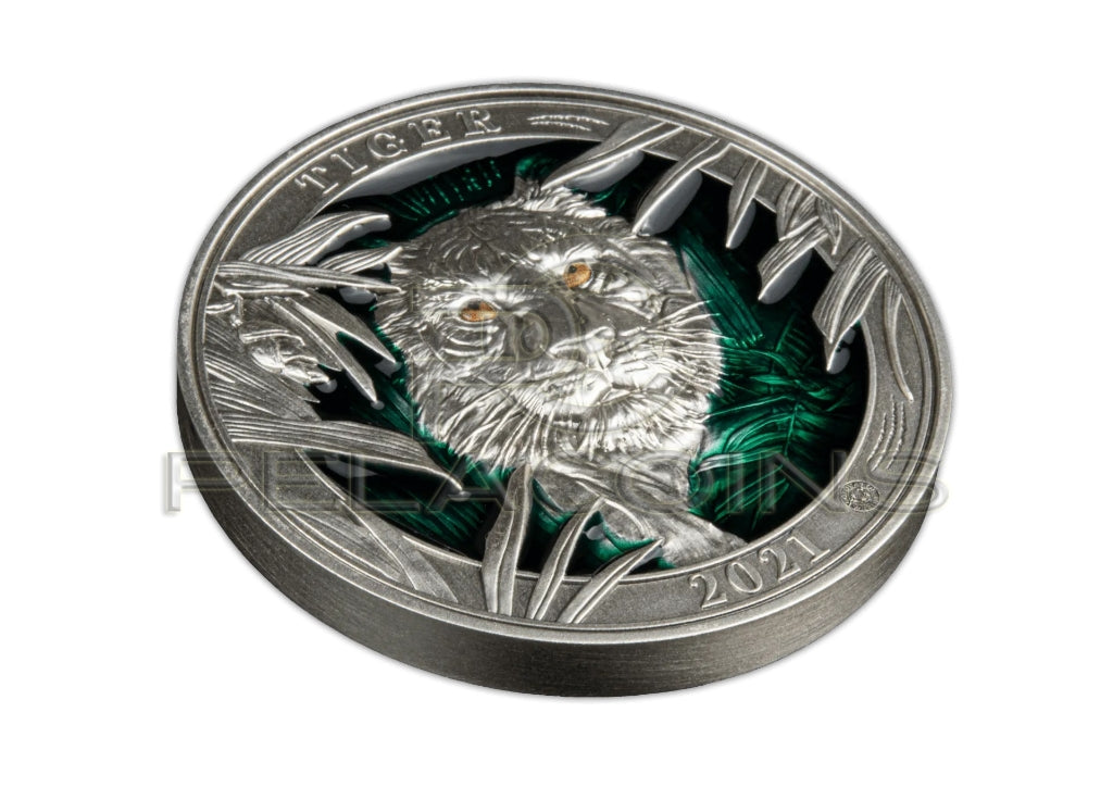 Barbados 2021 5$ Kolory Dzikiej Przyrody - TYGRYS 3oz