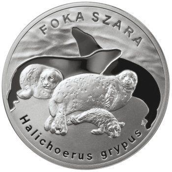 20 zł, Zwierzęta świata - Foka szara (łac. Halichoerus grypus), 2007