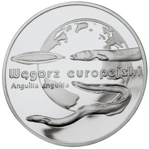 20 zł, Zwierzęta świata - Węgorz europejski (łac. Anguilla anguilla), 2003